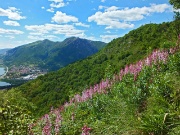 83 sui fianchi della montagna...